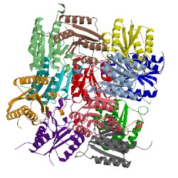 Image of CATH 5iba