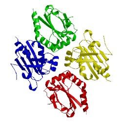 Image of CATH 5id2