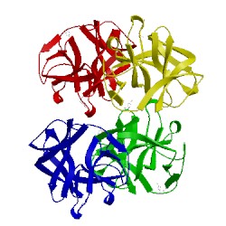 Image of CATH 5ida