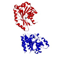 Image of CATH 5ihp