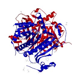 Image of CATH 5in3