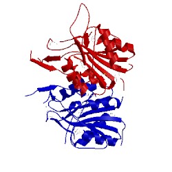 Image of CATH 5int