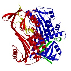 Image of CATH 5inw