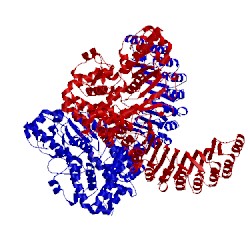 Image of CATH 5irm