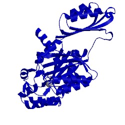 Image of CATH 5it0