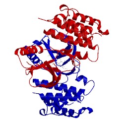 Image of CATH 5ita