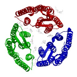 Image of CATH 5ite