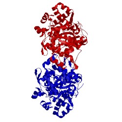 Image of CATH 5itg