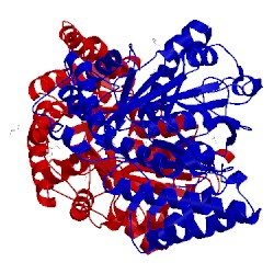 Image of CATH 5iwq