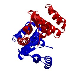 Image of CATH 5izh