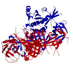 Image of CATH 5izk