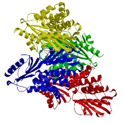 Image of CATH 5j21