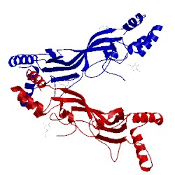 Image of CATH 5j69