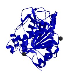 Image of CATH 5jap