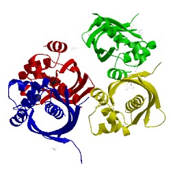 Image of CATH 5jbs