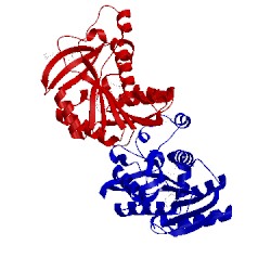 Image of CATH 5je2