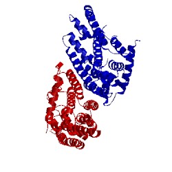 Image of CATH 5jfq