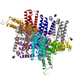 Image of CATH 5jkl