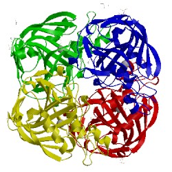 Image of CATH 5jnc