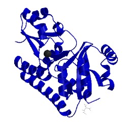 Image of CATH 5joq