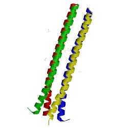 Image of CATH 5jr5