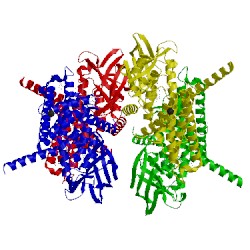 Image of CATH 5jsc