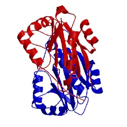 Image of CATH 5jtf