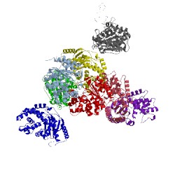 Image of CATH 5jyo