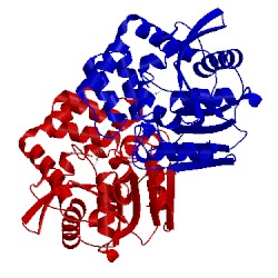 Image of CATH 5jz9