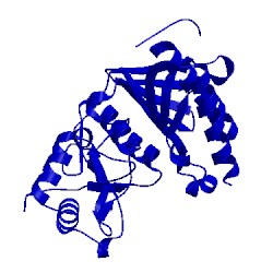 Image of CATH 5k54