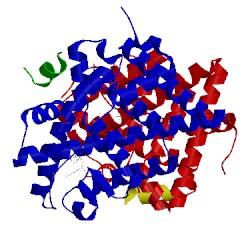 Image of CATH 5kct