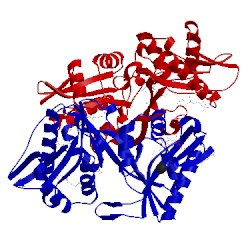 Image of CATH 5kga