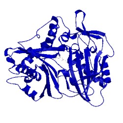 Image of CATH 5kju