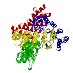 Image of CATH 5kng