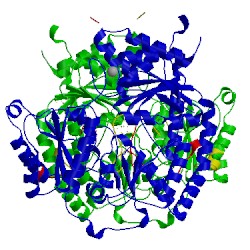 Image of CATH 5koh