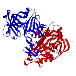 Image of CATH 5koq