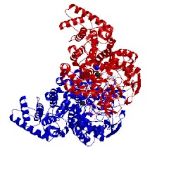 Image of CATH 5kq6