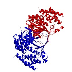 Image of CATH 5kqo