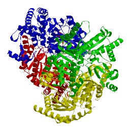 Image of CATH 5kqw