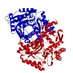 Image of CATH 5kr3