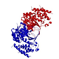 Image of CATH 5krr