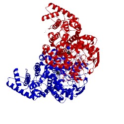 Image of CATH 5kt8