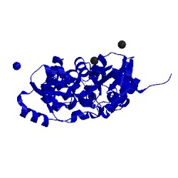 Image of CATH 5kts