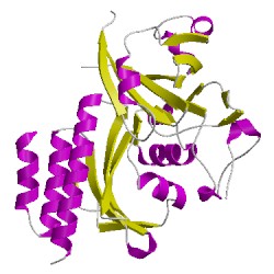 Image of CATH 5l8mA