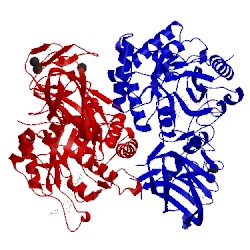 Image of CATH 5la2