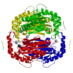 Image of CATH 5ldb