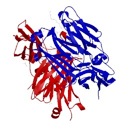 Image of CATH 5lgj