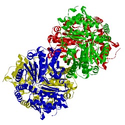 Image of CATH 5lh9