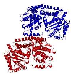 Image of CATH 5lhc