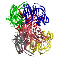 Image of CATH 5lhl